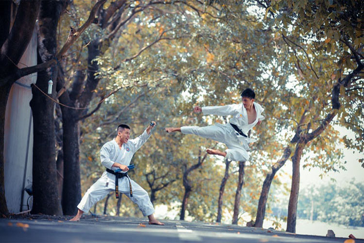 bullying, martial arts, misbehaviour