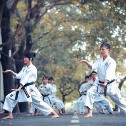 discipline, martial arts, self confidence