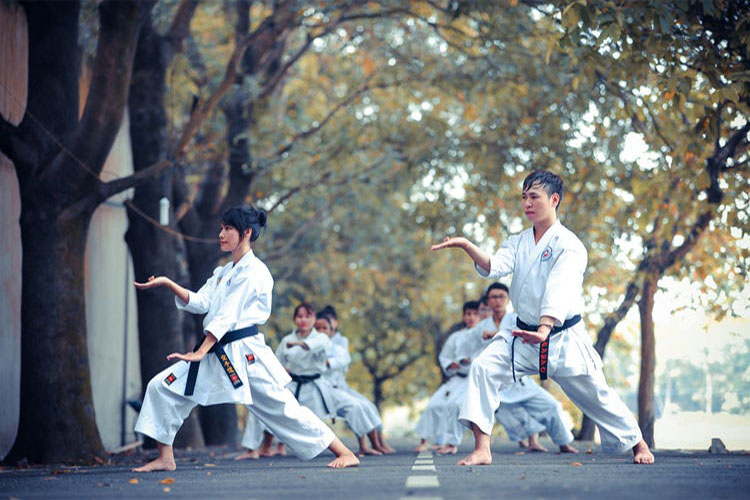 discipline, martial arts, self confidence