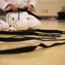 bullying, martial arts